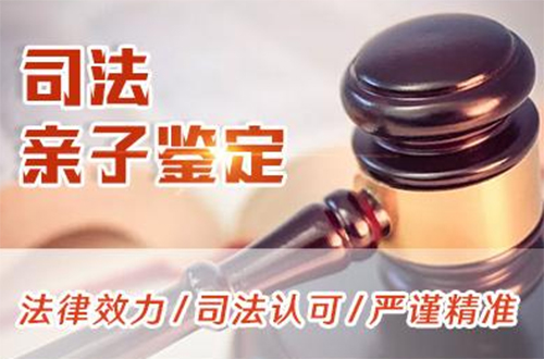 保山司法DNA鉴定流程,保山权威司法DNA亲子鉴定机构去哪查找