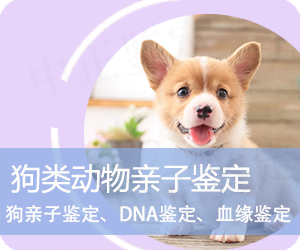 保山狗类动物亲子鉴定