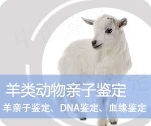 保山羊类动物亲子鉴定