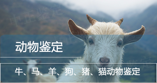 保山动物鉴定