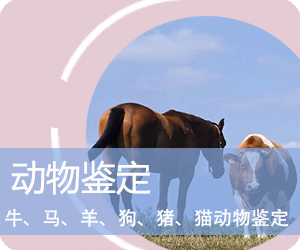 保山动物鉴定