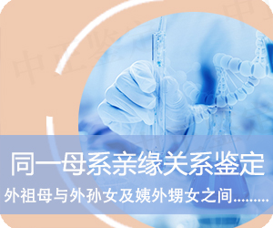 保山同一母系亲缘关系鉴定